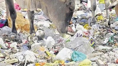 Plastic pollution Plastic pollution