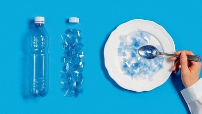 Microplastics enter the food chain through various pathways Microplastics enter the food chain through various pathways