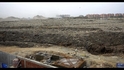 While the Chandigarh MC had assured HC of removing the entire waste by May 31, 1 lakh MT garbage remains at the Dadumajra landfill. (HT Photo) While the Chandigarh MC had assured HC of removing the entire waste by May 31, 1 lakh MT garbage remains at the Dadumajra landfill. (HT Photo)