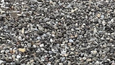 A mind-bending pebble illusion shared by Reddit user challenged viewers to find a well-camouflaged bird. (Reddit/hypersmashh) A mind-bending pebble illusion shared by Reddit user challenged viewers to find a well-camouflaged bird. (Reddit/hypersmashh)