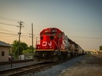 A New Hampshire woman was fatally struck by a train while rescuing a dog. A New Hampshire woman was fatally struck by a train while rescuing a dog.