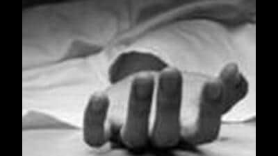 A woman and her son-in-law were killed after the car they were travelling in plunged into a gorge in Himachal’s Chamba district. (Representational image)