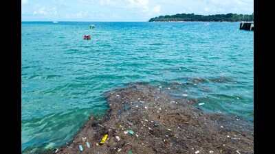 Plastic in oceans is among the biggest threats to marine life in India, a global survey involving marine scientists has said. A total of 58 ocean experts from 19 countries participated in the survey. (Getty Images/iStockphoto) Plastic in oceans is among the biggest threats to marine life in India, a global survey involving marine scientists has said. A total of 58 ocean experts from 19 countries participated in the survey. (Getty Images/iStockphoto)