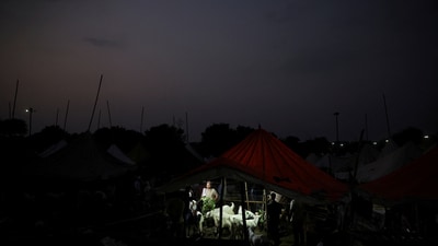 A vendor stands next to goats for sale as he waits for customers inside a livestock market ahead of the Eid al-Adha festival in the old quarters of Delhi, India, June 6, 2025.&nbsp;&nbsp; (REUTERS)
