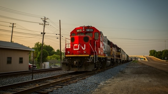 A New Hampshire woman was fatally struck by a train while rescuing a dog. (Representational image/Unsplash)