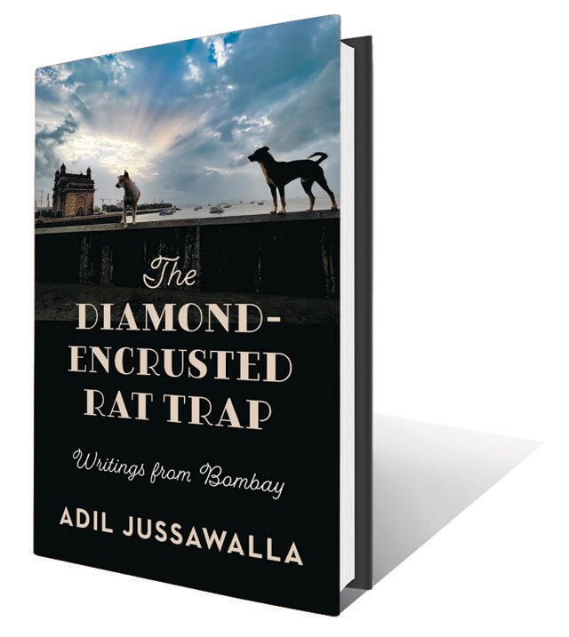 192pp, ₹499; Speaking Tiger 192pp, ₹499; Speaking Tiger