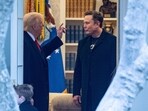 Donald Trump and Elon Musk's feud went public this week Donald Trump and Elon Musk's feud went public this week