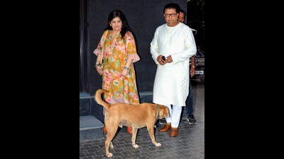 MNS chief Raj Thackeray held a party meeting on Saturday to gauge the mood among his party leaders and workers on a possible alliance with the Shiv Sena (UBT). (PTI) MNS chief Raj Thackeray held a party meeting on Saturday to gauge the mood among his party leaders and workers on a possible alliance with the Shiv Sena (UBT). (PTI)