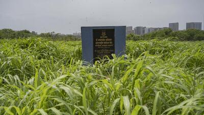 Mumbai, India - June 6, 2025: Barren land of Dr. Babasaheb Ambedkar international research centre at Kalina campus in Mumbai, India, on Friday, June 6, 2025. (Photo by Satish Bate/ Hindustan Times) (Hindustan Times) Mumbai, India - June 6, 2025: Barren land of Dr. Babasaheb Ambedkar international research centre at Kalina campus in Mumbai, India, on Friday, June 6, 2025. (Photo by Satish Bate/ Hindustan Times) (Hindustan Times)