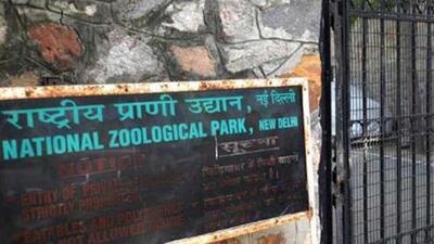 The Delhi zoo and Gujarat’s Greens Zoological Rescue And Rehabilitation Centre (also called Vantara) reportedly plan to sign an MoU. (AFP) The Delhi zoo and Gujarat’s Greens Zoological Rescue And Rehabilitation Centre (also called Vantara) reportedly plan to sign an MoU. (AFP)
