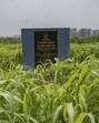 Mumbai, India - June 6, 2025: Barren land of Dr. Babasaheb Ambedkar international research centre at Kalina campus in Mumbai, India, on Friday, June 6, 2025. (Photo by Satish Bate/ Hindustan Times) (Hindustan Times)