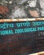 The Delhi zoo and Gujarat’s Greens Zoological Rescue And Rehabilitation Centre (also called Vantara) reportedly plan to sign an MoU. (AFP)