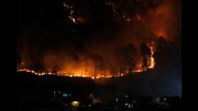 A fire broke out in the forest area of Reasi district of Jammu and Kashmir, on Sunday, triggering swift action from local authorities. (Representational image) A fire broke out in the forest area of Reasi district of Jammu and Kashmir, on Sunday, triggering swift action from local authorities. (Representational image)