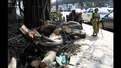 Residents also allege that the PMC’s pre-monsoon inspection of trees is mostly limited to public roads while housing society premises are ignored unless there is repeated follow-up by citizens. (HT) Residents also allege that the PMC’s pre-monsoon inspection of trees is mostly limited to public roads while housing society premises are ignored unless there is repeated follow-up by citizens. (HT)