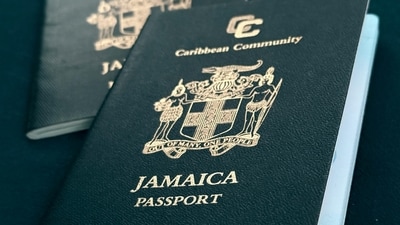 Out of the 28, twelve people became citizens through naturalisation, seven through marriage, two by registration, and seven by descent. (Pexels) Out of the 28, twelve people became citizens through naturalisation, seven through marriage, two by registration, and seven by descent. (Pexels)