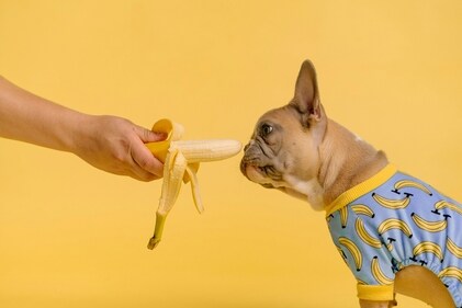 Feed them according to their age, not just their appetite. (Unsplash) Feed them according to their age, not just their appetite. (Unsplash)