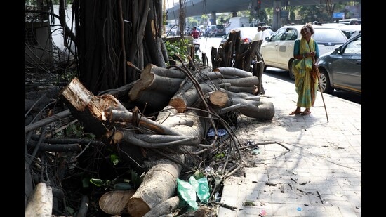 Residents also allege that the PMC’s pre-monsoon inspection of trees is mostly limited to public roads while housing society premises are ignored unless there is repeated follow-up by citizens. (HT)