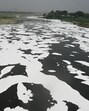 The polluted Yamuna in New Delhi. (Sunil Ghosh/HT Photo) The polluted Yamuna in New Delhi. (Sunil Ghosh/HT Photo)