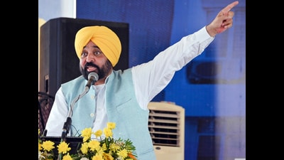 Punjab CM Bhagwant Mann addressing a gathering at Dudan Sadhan village in Patiala on Monday. (ANI)