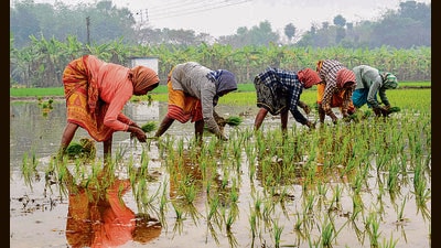 Revolving funds have been provided to 7.17 lakh self-help groups (SHGs), while 5.74 lakh SHGs have received community investment funds. (FOR REPRESENTATION)