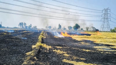 The agriculture department’s Red Entry Summary Report recorded 2,301 confirmed fire incidents and 202 suspected cases across 18 districts as of May 3, 2025 — figures that far exceed officially acknowledged complaint logs. (Parveen Kumar/HT Photo) The agriculture department’s Red Entry Summary Report recorded 2,301 confirmed fire incidents and 202 suspected cases across 18 districts as of May 3, 2025 — figures that far exceed officially acknowledged complaint logs. (Parveen Kumar/HT Photo)