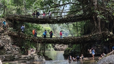 Meghalaya tourism gets clean chit, travel agents breathe sigh of relief (Photo: Shutterstock) Meghalaya tourism gets clean chit, travel agents breathe sigh of relief (Photo: Shutterstock)