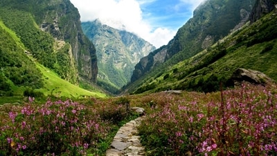 The Valley of Flowers trek is a verdant paradise with over 600 species of wildflowers. (Shutterstock) The Valley of Flowers trek is a verdant paradise with over 600 species of wildflowers. (Shutterstock)