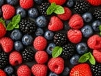 One of the berries that is great for the liver is blueberries. It contains a compound called pterostilbene, which is a very potent antioxidant. (For representation) One of the berries that is great for the liver is blueberries. It contains a compound called pterostilbene, which is a very potent antioxidant. (For representation)
