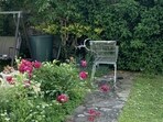 Internet users were stumped by an illusion showing a white cat hidden in a backyard garden. Internet users were stumped by an illusion showing a white cat hidden in a backyard garden.