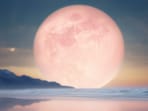 Strawberry Full Moon 2025 Strawberry Full Moon 2025