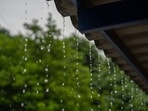 Rainy season brings a new set of health challenges like weakened immunity, making it imperative to watch what you eat.