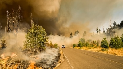 A brush fire broke out in Burbank, California on Tuesday (Unsplash) A brush fire broke out in Burbank, California on Tuesday (Unsplash)