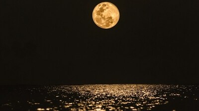 On June 10, the Strawberry Moon will rise, reaching peak brightness on June 11 at 3:44 a.m. ET (Representative Image: Unsplash ) On June 10, the Strawberry Moon will rise, reaching peak brightness on June 11 at 3:44 a.m. ET (Representative Image: Unsplash )