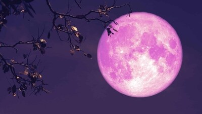 Strawberry Moon 2025 impact on zodiac signs. (X: @DailyLoud) Strawberry Moon 2025 impact on zodiac signs. (X: @DailyLoud)
