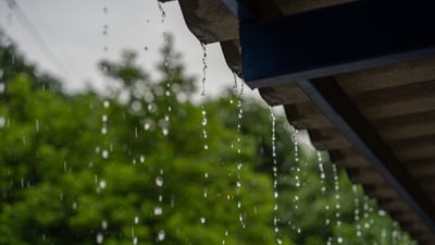 Rainy season brings a new set of health challenges like weakened immunity, making it imperative to watch what you eat. (Shutterstock) Rainy season brings a new set of health challenges like weakened immunity, making it imperative to watch what you eat. (Shutterstock)