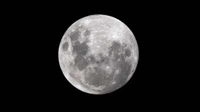 Vat Purnima 2025: Jyeshtha Purnima Vrat is a significant Hindu festival that focuses on worshipping Lord Vishnu, Lord Chandra, and Lord Shiva. (AFP) Vat Purnima 2025: Jyeshtha Purnima Vrat is a significant Hindu festival that focuses on worshipping Lord Vishnu, Lord Chandra, and Lord Shiva. (AFP)