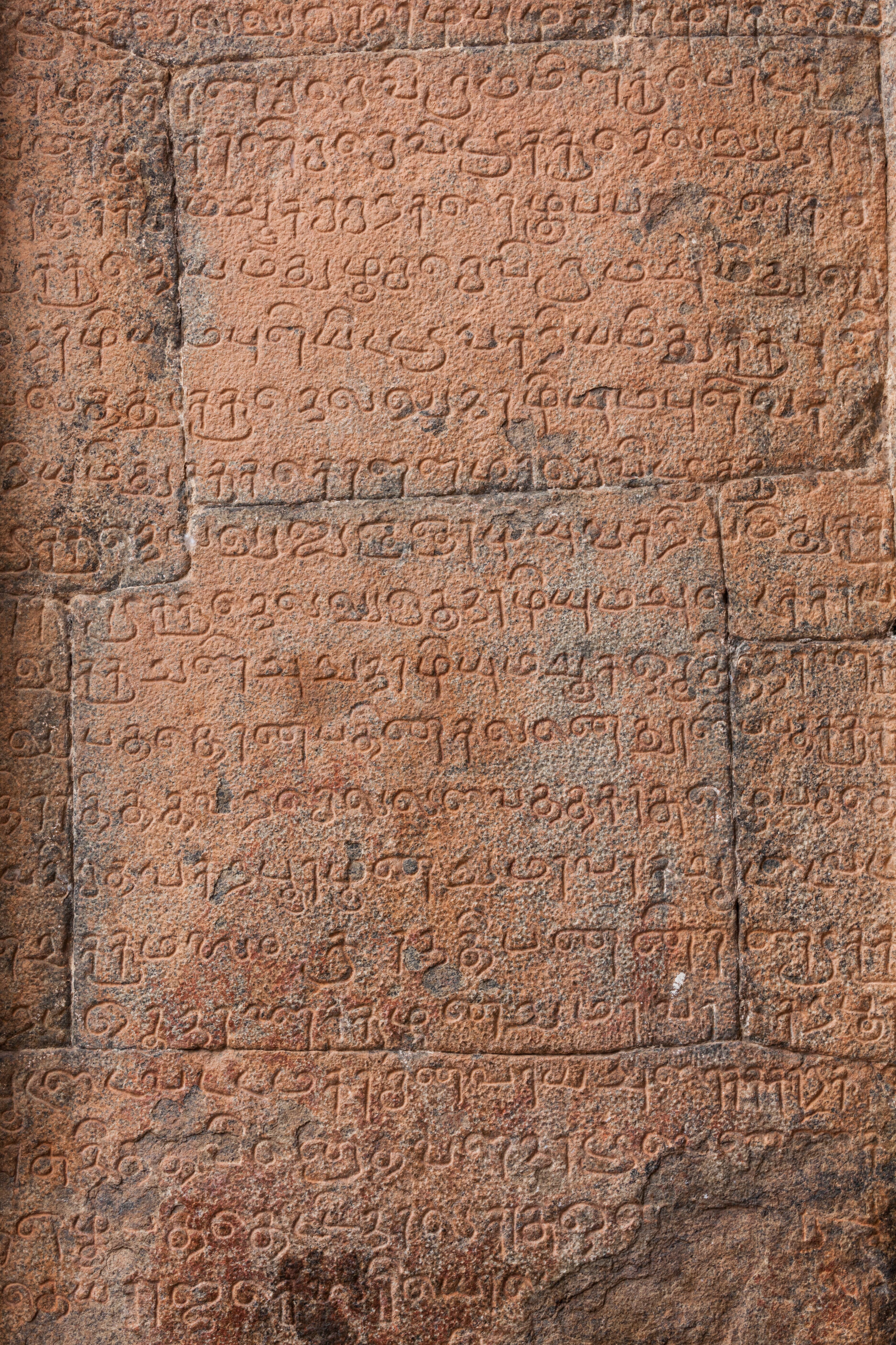 An ancient inscription in Tamil. “In every Indian language, barring Tamil and Sanskrit, the earliest major texts were translations.” - GN Devy (Shutterstock) An ancient inscription in Tamil. “In every Indian language, barring Tamil and Sanskrit, the earliest major texts were translations.” - GN Devy (Shutterstock)