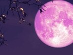 Read why June's Full Moon is a lucky day for Leo on June 11, 2025. Read why June's Full Moon is a lucky day for Leo on June 11, 2025.