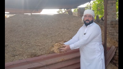 A farmer with his unsold chopped wheat straw (toori) at Deon village in Bathinda on Wednesday. (Sanjeev Kumar/HT) A farmer with his unsold chopped wheat straw (toori) at Deon village in Bathinda on Wednesday. (Sanjeev Kumar/HT)