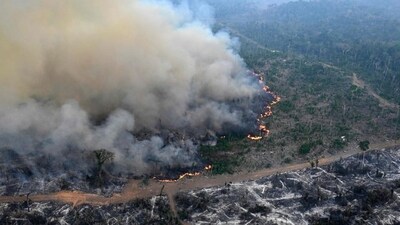 An aerial view of a portion of the Amazon rainforest deforested by illegal fire on August 20, 2024. (AFP Photo) An aerial view of a portion of the Amazon rainforest deforested by illegal fire on August 20, 2024. (AFP Photo)
