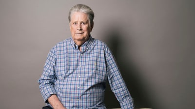 File photo of Brian Wilson (Casey Curry/Invision/AP) File photo of Brian Wilson (Casey Curry/Invision/AP)