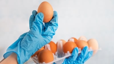 Salmonella outbreak in the US is linked to eggs. (Adobe Stock) Salmonella outbreak in the US is linked to eggs. (Adobe Stock)