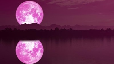 Strawberry moon will be visible in US this week. Here's when and where to watch it (Shutterstock) Strawberry moon will be visible in US this week. Here's when and where to watch it (Shutterstock)