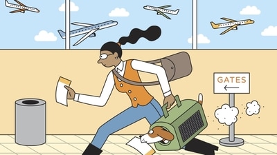 It’s Getting Harder and Pricier to Fly With Your Pet