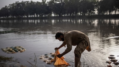Ansar Abbas, 32, cools watermelons in the Upper Chenab Canal to sell during a heatwave in Sialkot, Pakistan (REUTERS)