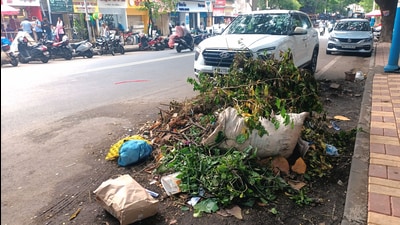 Garbage seen lying on road side. (Mahendra Kolhe/HT Photo) Garbage seen lying on road side. (Mahendra Kolhe/HT Photo)