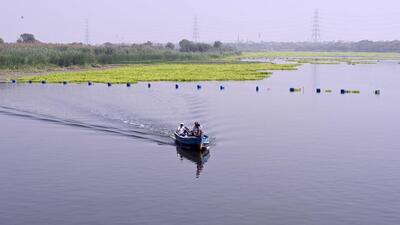 The Yamuna in Wazirabad. (Sanjeev Verma/HT Photo) The Yamuna in Wazirabad. (Sanjeev Verma/HT Photo)