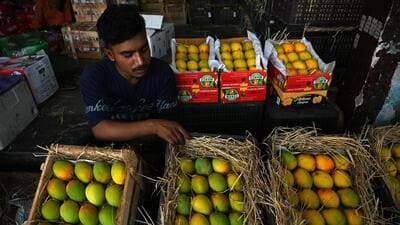 The directive, reportedly issued on June 7 by the Chittoor district collector, has triggered concerns in Karnataka over its impact on inter-state trade and farmers’ livelihoods (HT PHOTO)