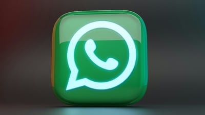 In a new WhatsApp Meta AI feature, the user can get insights on images and other forms of visual content. (Unsplash)