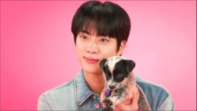 Kim Seok-jin with puppies Kim Seok-jin with puppies